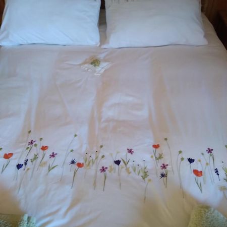 Les Dames De La Saugiat Bed and Breakfast Le Fied Εξωτερικό φωτογραφία