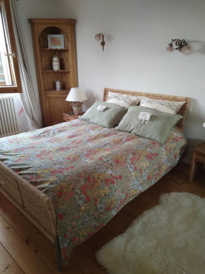 Les Dames De La Saugiat Bed and Breakfast Le Fied Εξωτερικό φωτογραφία